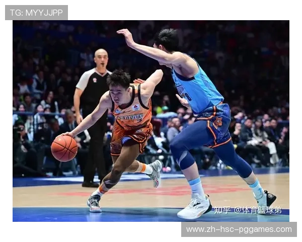 海南篮球进军CBA的可能性南国篮球能否再度崛起 海南篮球进军CBA的可能性南国篮球能否再度崛起