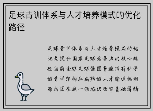 足球青训体系与人才培养模式的优化路径